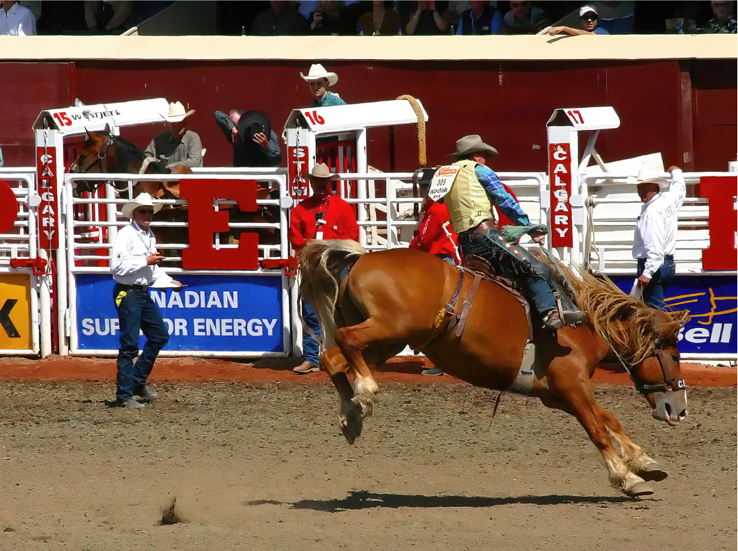 Calgary Stampede